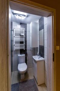 a bathroom with a white toilet and a sink at Domki W Zaciszu Gomólnika in Głuszyca