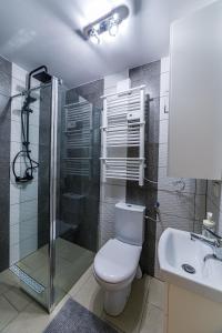 a bathroom with a toilet and a shower and a sink at Domki W Zaciszu Gomólnika in Głuszyca