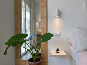 Voodi või voodid majutusasutuse Pathos Guest House toas