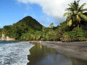 a beach with palm trees and people laying on the sand at LA PERLE MARINE in Le Prêcheur