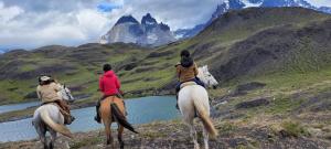 Gallery image of Cabaña en Laguna Azul Patagonia Bagual in Torres del Paine