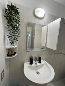 un bagno con lavandino, specchio e pianta di CASA ELISA a Cavo