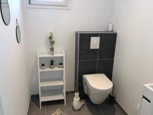 baño con aseo blanco y estante en Appartement Magnîolia proche centre Ville, en Colmar
