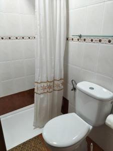 a bathroom with a toilet and a shower curtain at V.V Casa Mones in Cangas de Onís