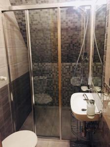 a bathroom with a shower and a toilet and a sink at Willa Tatrzańska Zohylina in Poronin