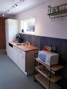 a kitchen with a sink and a microwave in it at De Loft in Zuid-Scharwoude