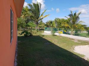 un patio con césped y palmeras y un edificio en Royal Properties Link en Crooked Tree