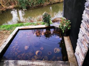 a koi pond in a garden with two potted plants at BRUSHWOOD in Longfossé