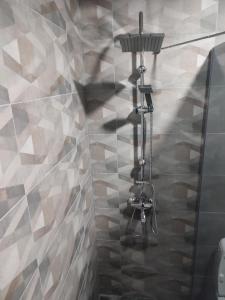 a shower in a bathroom with a tile wall at Antoni Apartment in Skopje +26 photos