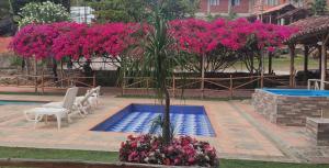 una piscina con una palmera y flores rosas en Hotel Campestre UMPALÁ, en San Gil