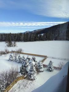 Príroda v okolí apartmánu