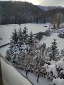 Príroda v okolí apartmánu