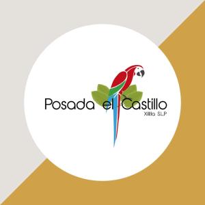 a parrot on a branch with pesto logo at Posada El Castillo xilitla in Xilitla