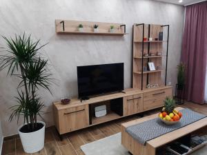 Televízia a/alebo spoločenská miestnosť v ubytovaní Apartman Kristal