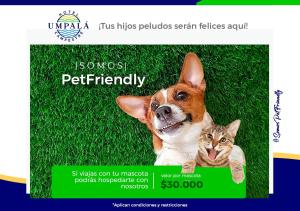 ein Bild eines Hundes und einer Katze auf einer Website in der Unterkunft Hotel Campestre UMPALÁ in San Gil