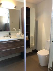 Koupelna v ubytování Penthouse 3 chambres Vue Lagon imprenable