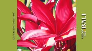 Fotografie z fotogalerie ubytování HOTEL CHECK INN BALI adult only v Tokiu