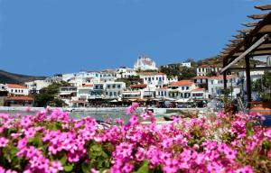 a group of pink flowers in front of a town at Karanasos in Batsi