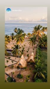 an aerial view of a beach with palm trees and the ocean at Puntacana Ecolodge Lavacama Beach Costa Arrecife in Punta Cana