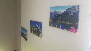 Fotografie z fotogalerie ubytování Apartment Steirawohnzimmer v Hausu