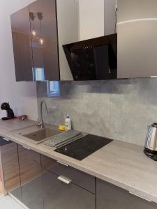 Kuchyň nebo kuchyňský kout v ubytování Apartamenty Plac Kolegiacki