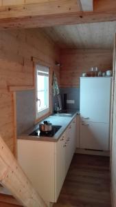 Virtuve vai virtuves zona naktsmītnē Tinyhouse Postalm