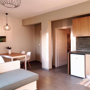 a small kitchen and dining room with a table and a kitchen at Notos apartment in Skala Kallirachis