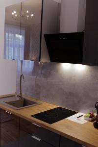 Kuchyň nebo kuchyňský kout v ubytování Apartamenty Plac Kolegiacki + 17 fotografií