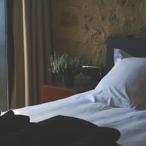 Gallery image of Hotel Mas Oliveres Pla de Palau in Llers