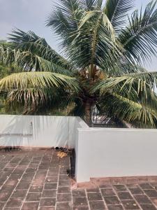 a palm tree in front of a white fence at Sremethila Homestay in Marudhamalai