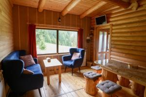 a room with two chairs and a table in a cabin at Cabana Paulownia in Budeşti