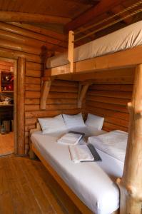 sypialnia z 2 łóżkami piętrowymi w kabinie w obiekcie Cabana Paulownia w mieście Budeşti