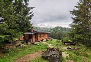 Budeşti的住宿－Cabana Paulownia，森林中间的小木屋