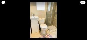 a small bathroom with a toilet and a shower at The cottage at number 5 in Selsey