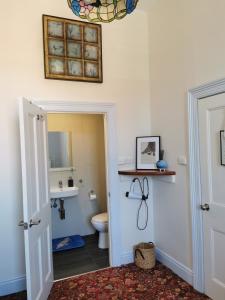 a bathroom with a toilet and a microwave at The Empire Hotel in Deloraine