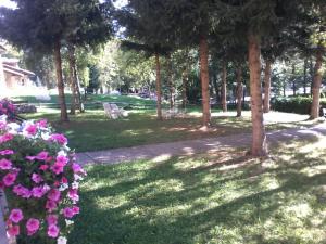 un parco con alberi e fiori rosa nell'erba di BUONAVACANZA IN MONTAGNA a Limone Piemonte