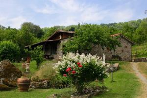 Vonkajšia záhrada v ubytovaní Podere Mezzavia by VacaVilla
