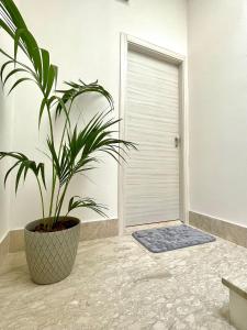 a potted plant in a room with a door at Charmrooms in Castellammare del Golfo