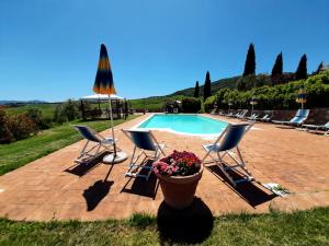 a pool with chairs and an umbrella and a pot of flowers at AGRITURISMO LUCERTOLA in Montecatini Val di Cecina