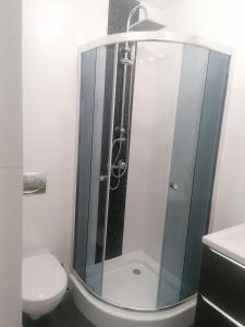 La salle de bains est pourvue d'une douche en verre et de toilettes. dans l'établissement Apartament Oliwia, à Grywałd