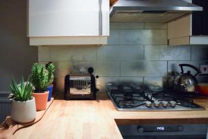 uma cozinha com fogão e algumas plantas em vasos em Stylish and Spacious Apartment with Terrace em Londres