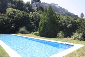 a blue swimming pool with trees in the background at Hotel Sintra Jardim in Sintra