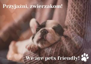 a small dog is sleeping in a blanket at Willa Jordanówka in Czorsztyn