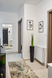 a white room with a potted plant on the wall at New Apartments IuliusMall-Apartamente cu 2 camere in Iaşi