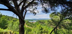 Foto da galeria de Casa junto al lago em Jérica