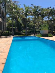 una piscina azul con palmeras en el fondo en African Palm Cottage and Guesthouse en Durbanville