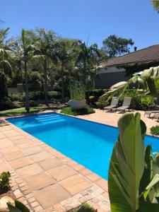 una piscina en un patio con sillas y árboles en African Palm Cottage and Guesthouse en Durbanville
