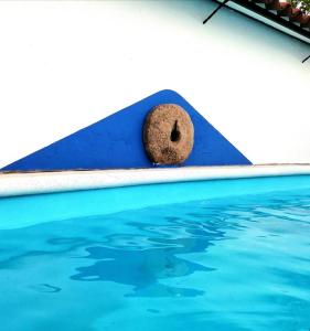 a rock sitting on the side of a swimming pool at BORBOLETA AZUL ALOJAMIENTO TURISTICO in Villarreal
