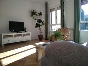 a living room with a tv and a couch at Casa Paseo del Tajo-CON PARKING GRATIS - 3 habitaciones in Toledo