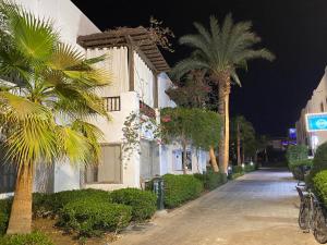 a building with palm trees on a street at night at Delta Sharm 205 in Sharm El Sheikh